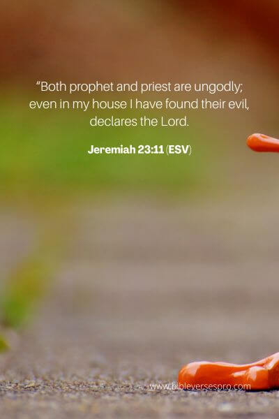 Jeremiah 23_11 (ESV)