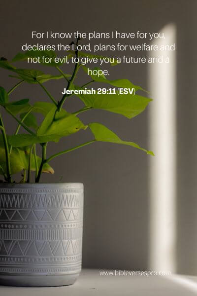Jeremiah 29_11 (ESV)