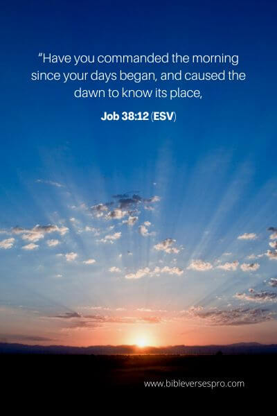 Job 38_12 (Esv)