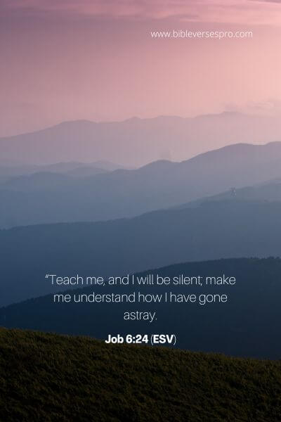 Job 6_24 (ESV)