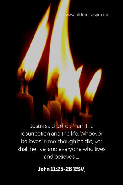John 11_25-26 (ESV)