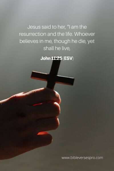 John 11_25 (Esv)