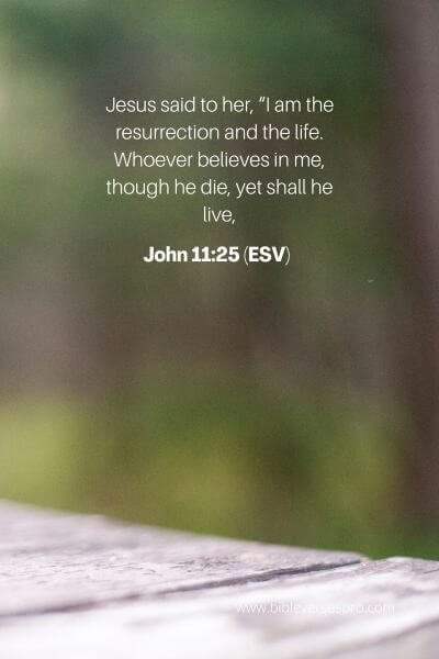 John 11_25 (Esv)