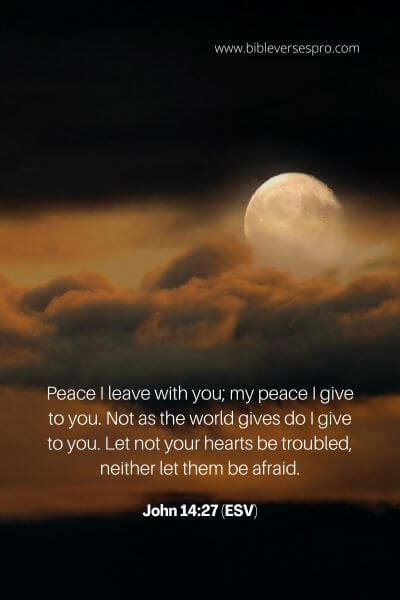 John 14_27 (Esv)