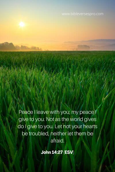 John 14_27 (Esv)