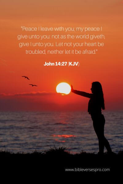 John 14_27 (KJV)
