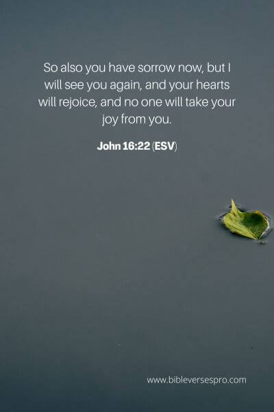 John 16_22 (Esv)