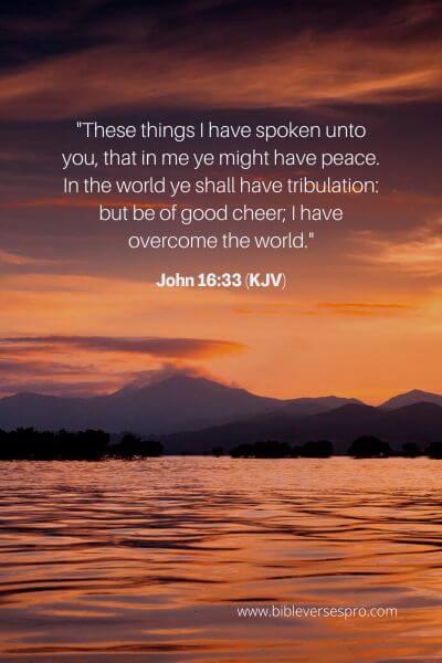 John 16_33 (KJV)