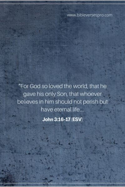 John 3_16-17 (Esv)