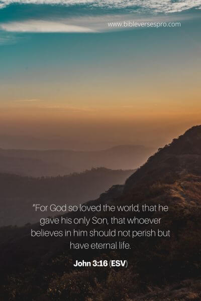 John 3_16 (Esv)