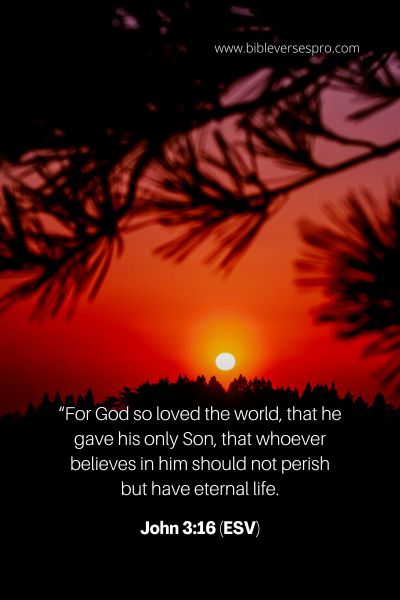 John 3_16 (Esv)