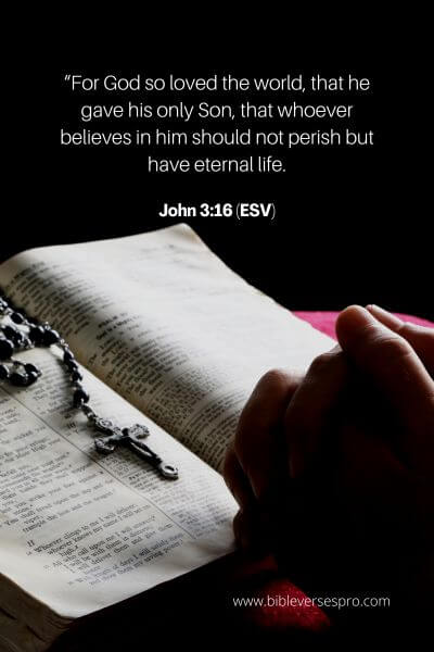 John 3_16 (Esv)