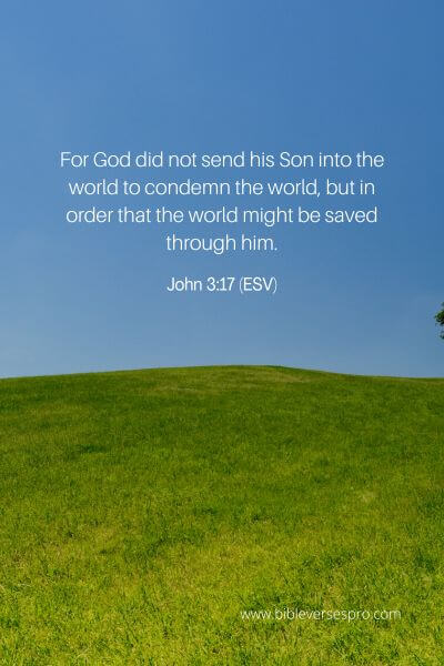 John 3_17 (ESV)