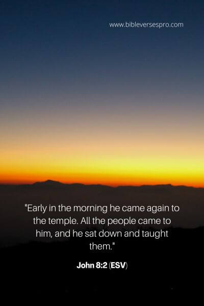 John 8_2 (ESV)