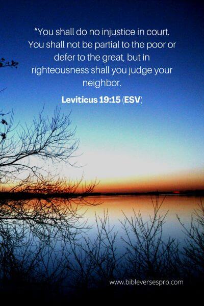 Leviticus 19_15 (ESV)