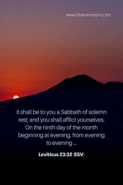 Leviticus 23_32 (Esv)