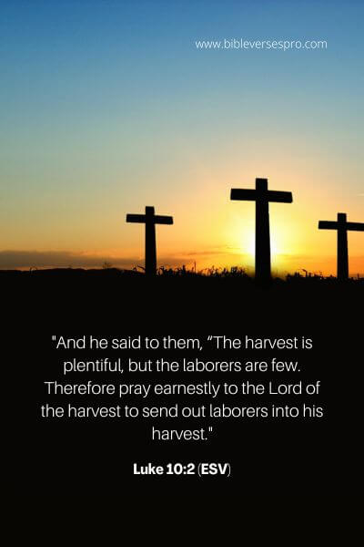 Luke 10_2 (ESV)