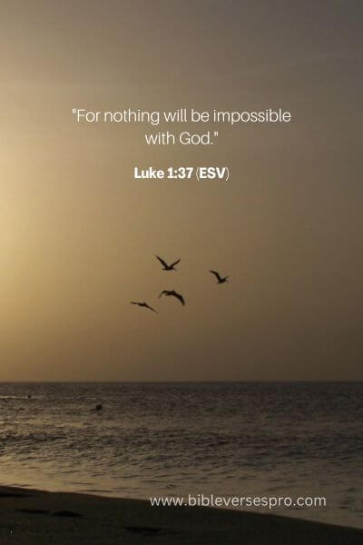 Luke 1_37 (Esv)