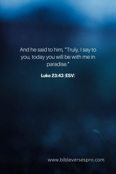 Luke 23_43 (Esv)