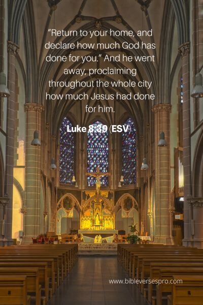 Luke 8_39 (Esv)