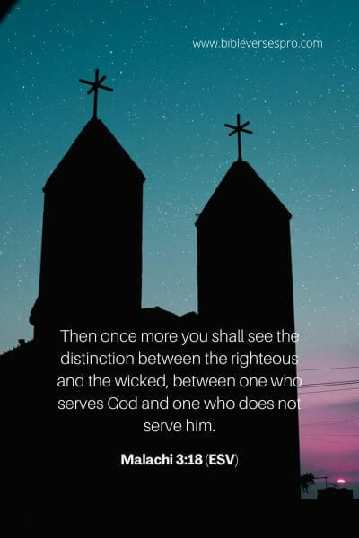 Malachi 3_18 (ESV)