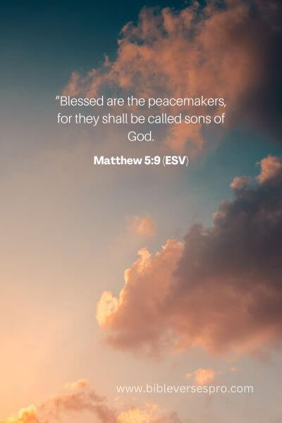 Matthew 5_9 (Esv)