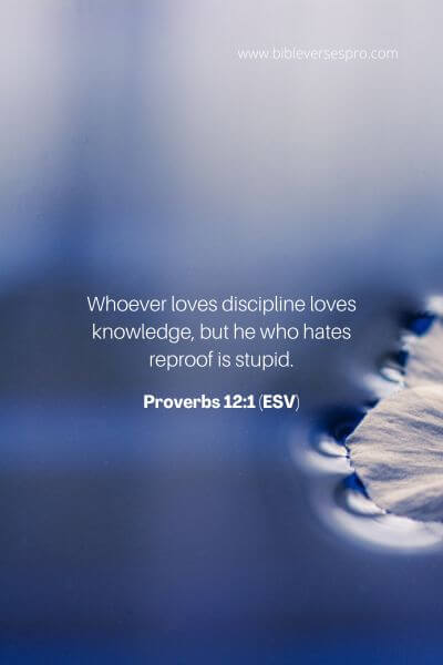 Proverbs 12_1 (Esv)