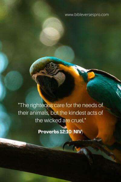 Proverbs 12_10 (NIV)