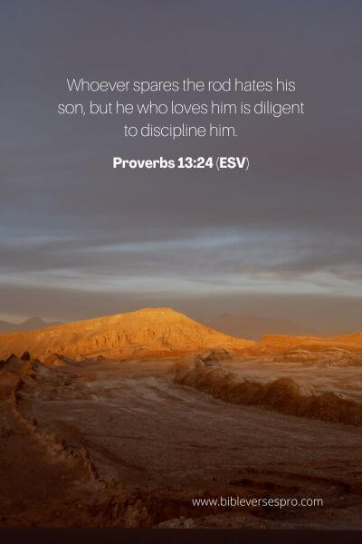 Proverbs 13_24 (Esv)