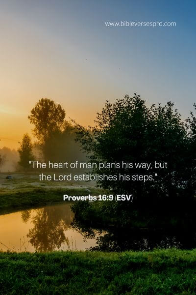 Proverbs 16_9 (Esv)