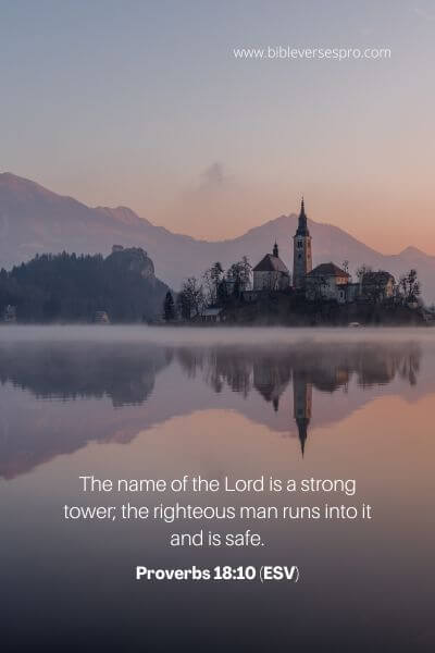 Proverbs 18_10 (ESV)