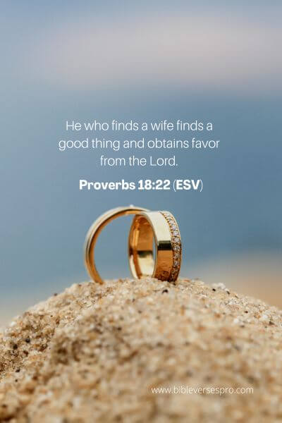 Proverbs 18_22 (Esv)