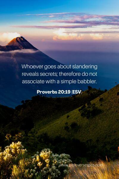 Proverbs 20_19 (Esv)