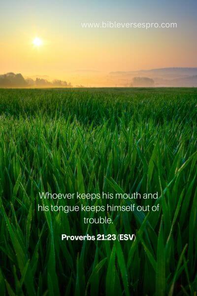 Proverbs 21_23 (Esv)