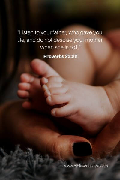 Proverbs 23_22