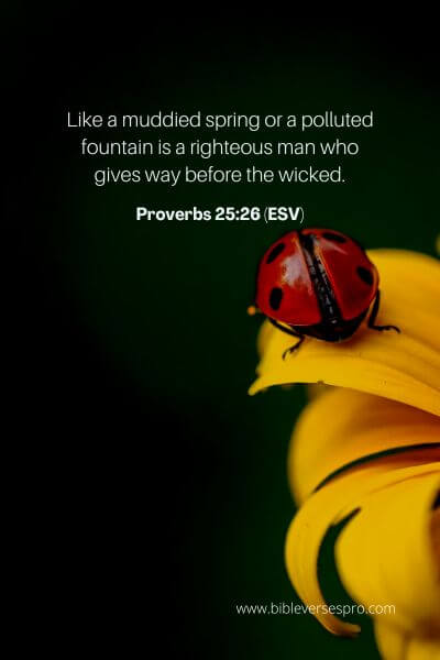 Proverbs 25_26 (Esv)