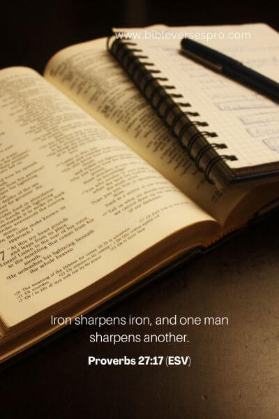 Proverbs 27_17 (ESV)