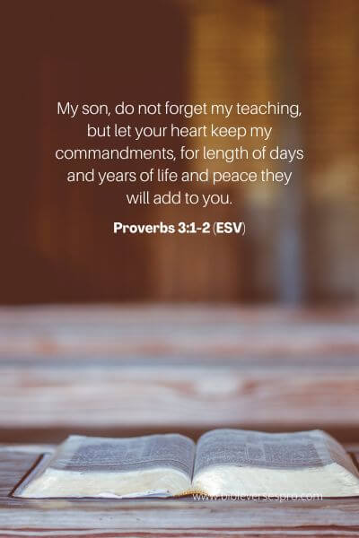 Proverbs 3_1-2 (ESV)