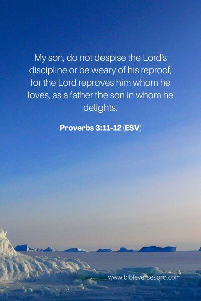 Proverbs 3_11-12 (Esv)
