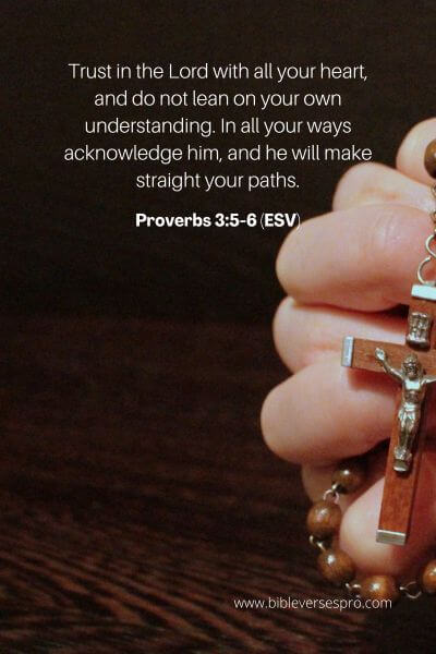 Proverbs 3_5-6 (ESV)