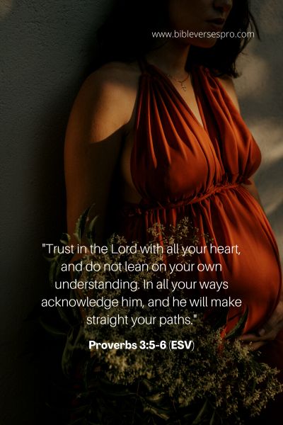 Proverbs 3_5-6 (Esv)