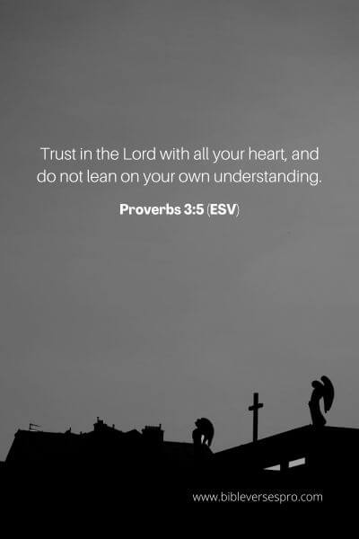 Proverbs 3_5 (Esv)