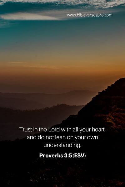 Proverbs 3_5 (ESV)