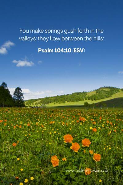 Psalm 104_10 (Esv)