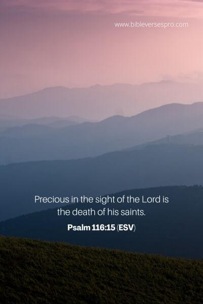 Psalm 116_15 (Esv)