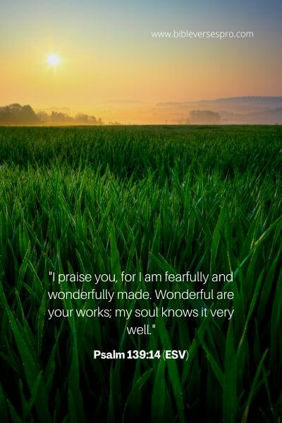 Psalm 139_14 (Esv)