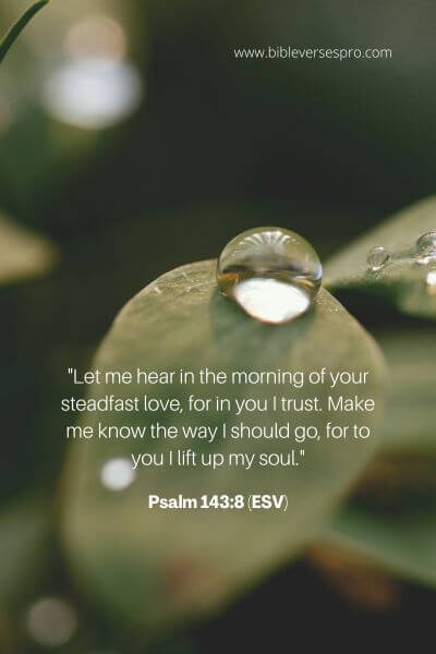 Psalm 143_8 (Esv)