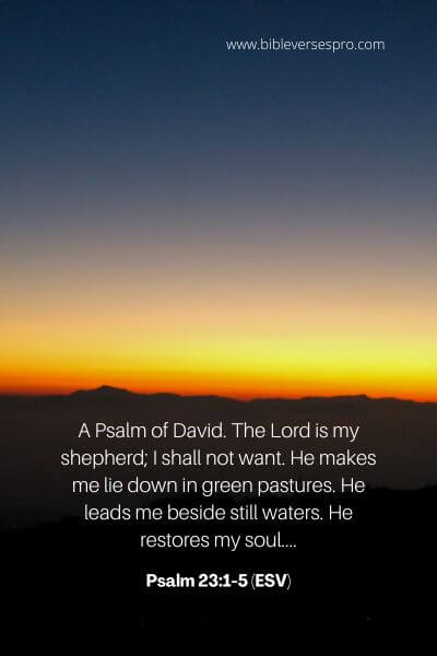 Psalm 23_1-5 (Esv)