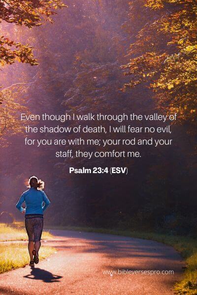 Psalm 23_4 (Esv)