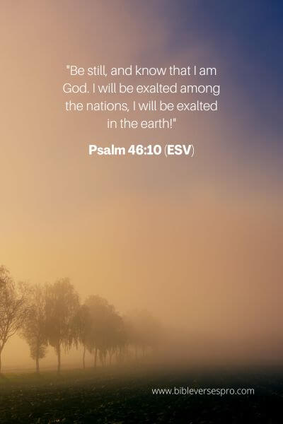 Psalm 46_10 (Esv)